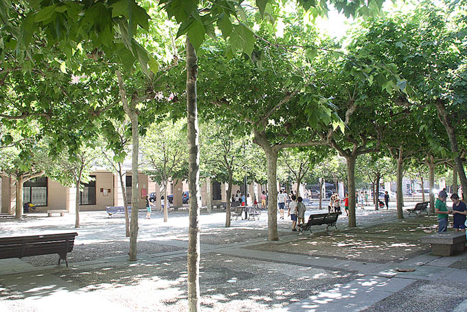 Parque Movil 1